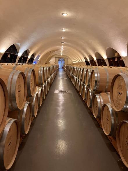 Lagrazette_France2021_Barrels_1